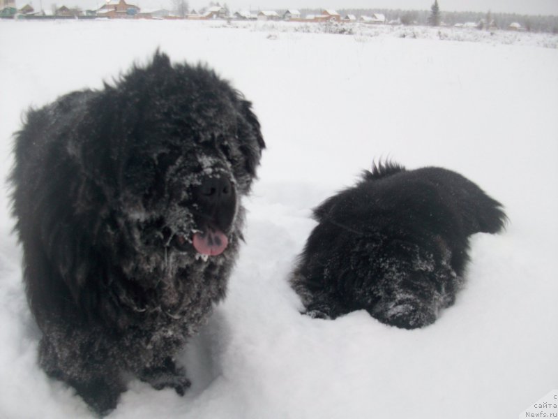 Фотография № 197421