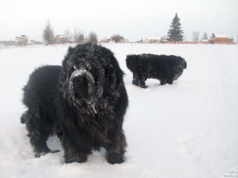 Фотография № 197422