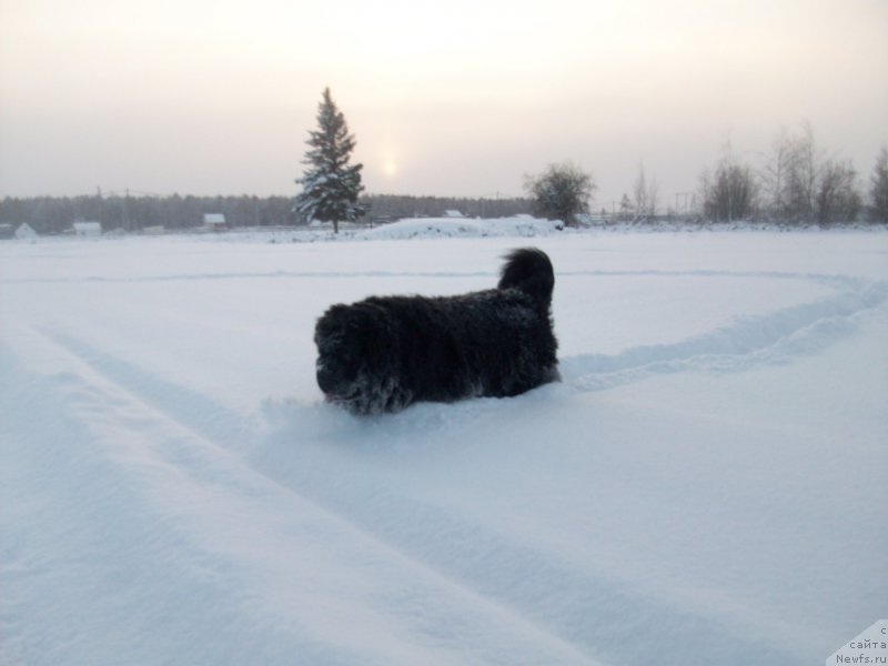 Фотография № 197423