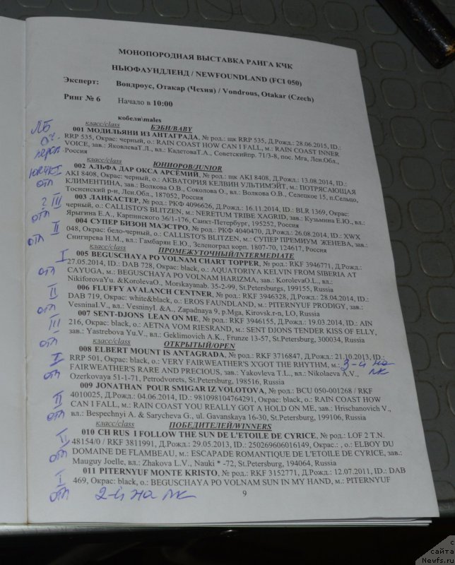 Фотография № 197426