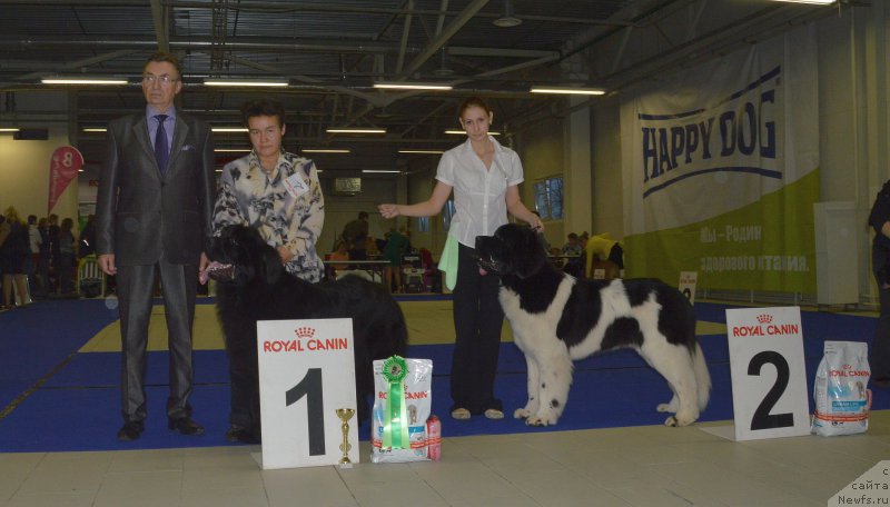 Фотография № 197428