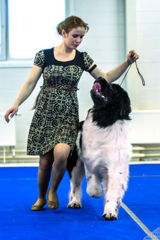 Фотография № 197441