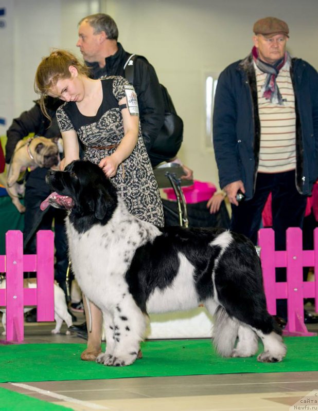 Фотография № 197442