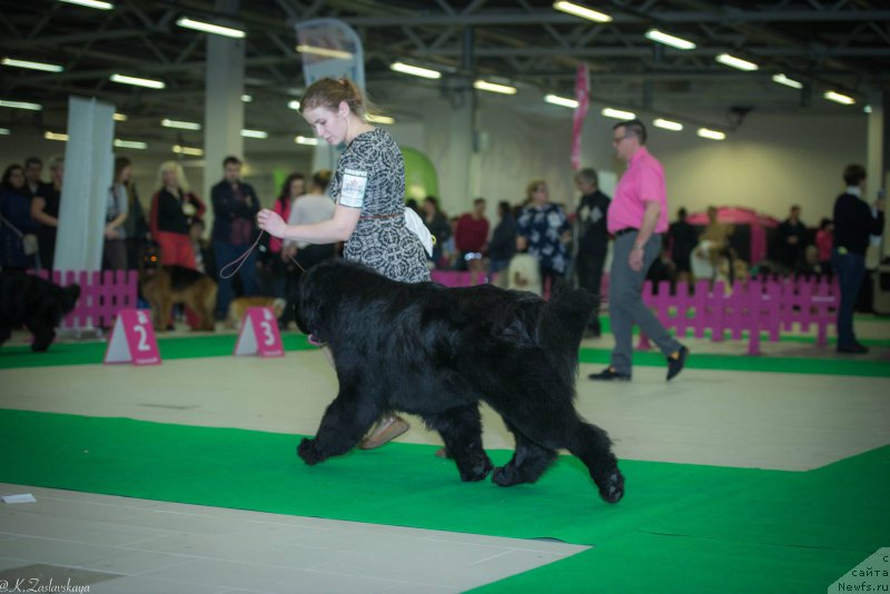 Фотография № 197444