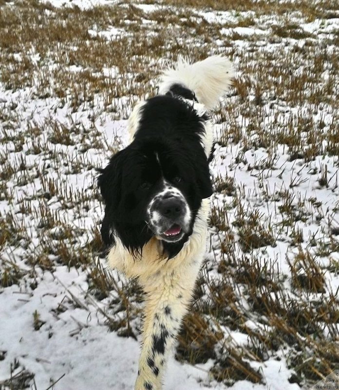 Фотография № 197446