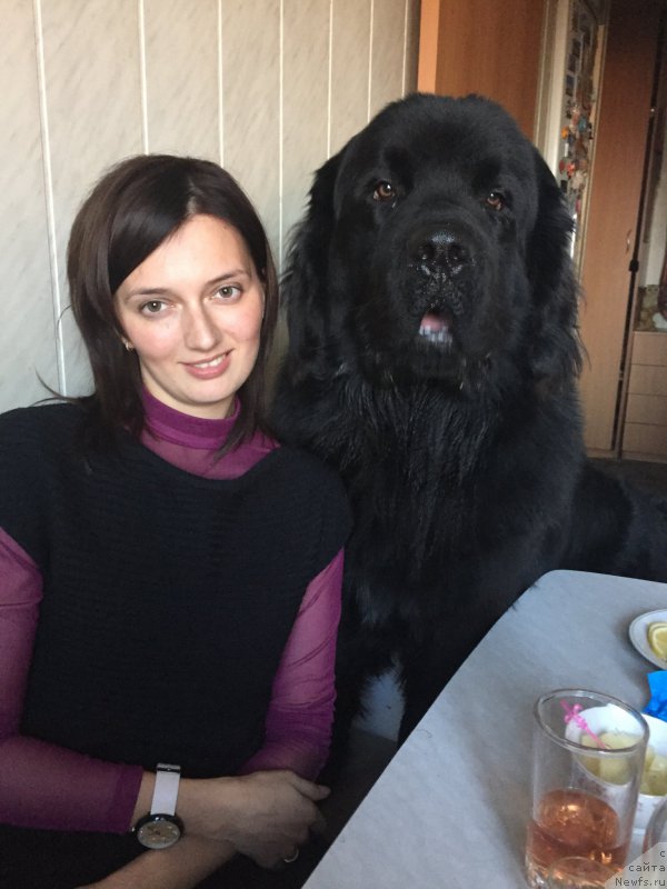 Фотография № 197449