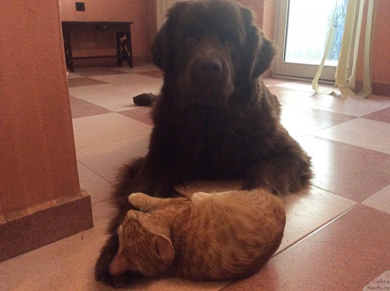 Фотография № 197451