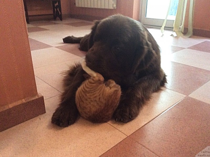 Фотография № 197452