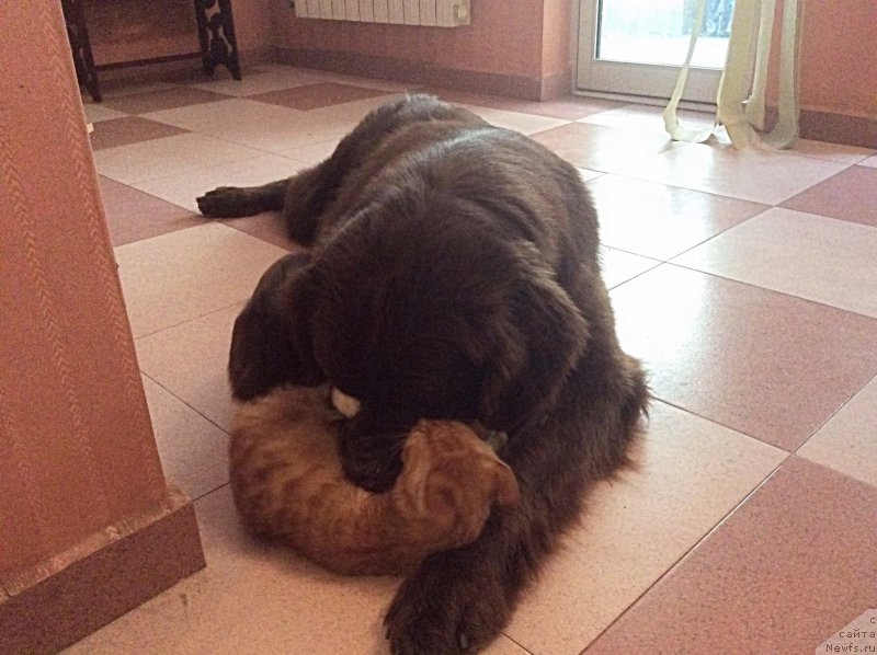 Фотография № 197453