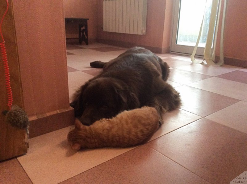 Фотография № 197454