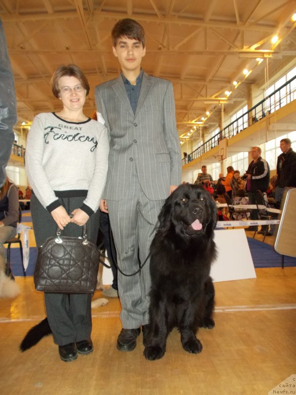 Фото: ньюфаундленд Эхо Москвы с Берега Дона (Eho Moskvy s Berega Dona), Миша, Алевтина Антонова