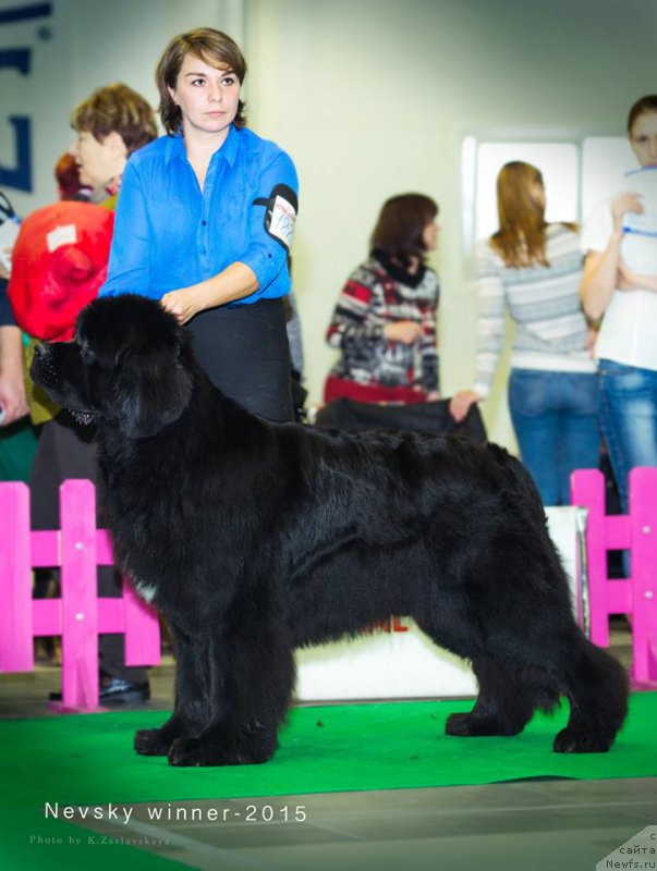 Фотография № 197474