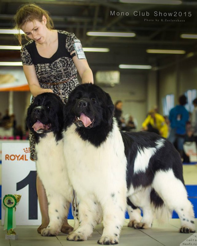 Фотография № 197475