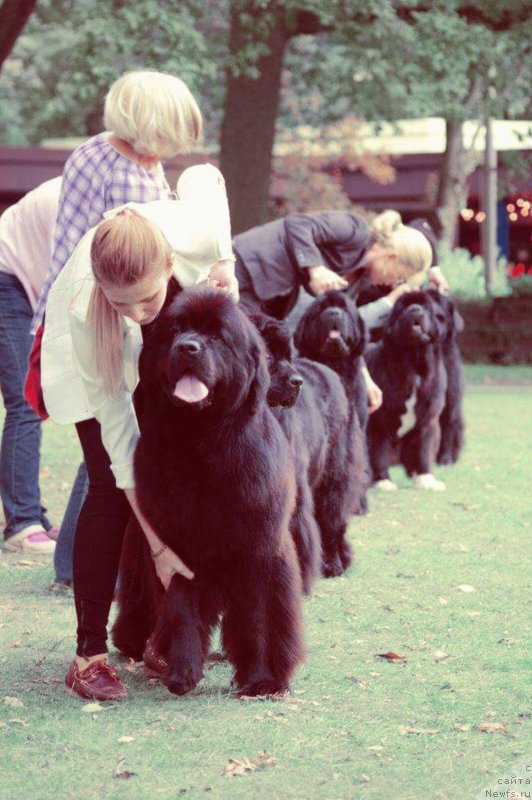 Фото: Very Fairweather's Z'suits up 