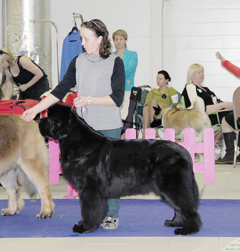 Фотография № 197490