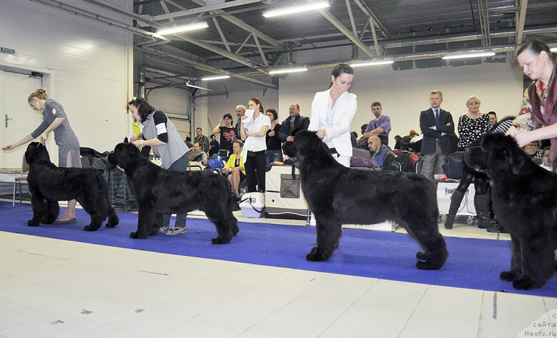 Фотография № 197495