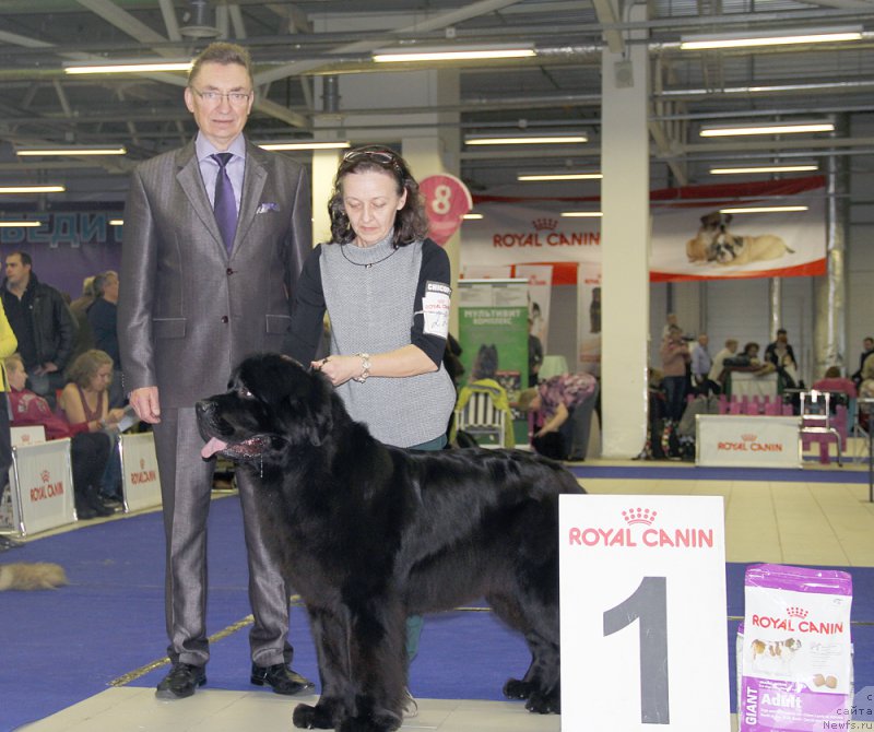 Фотография № 197499