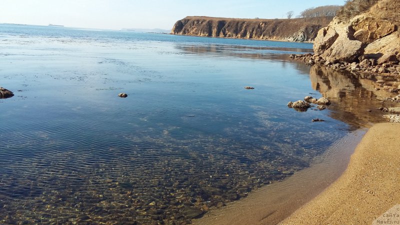 Фото: Находка