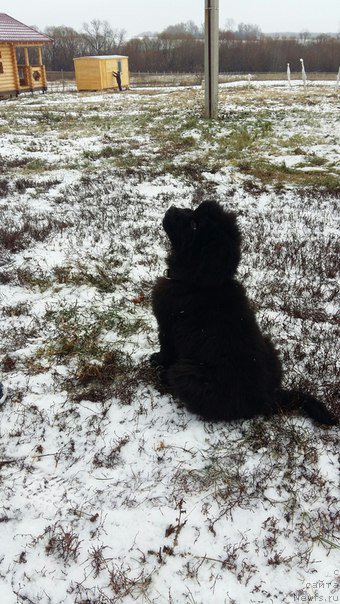 Фотография № 197566