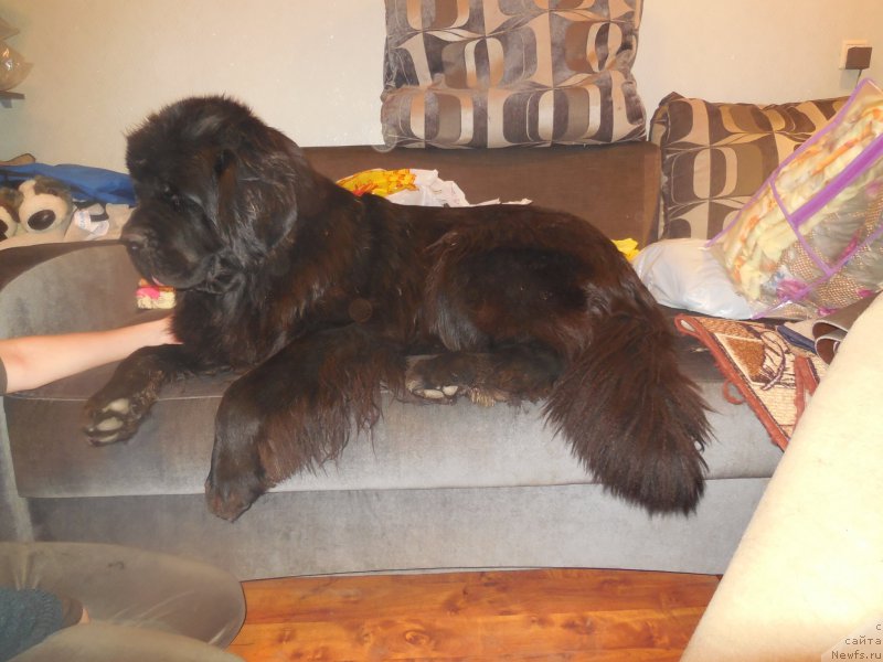 Фотография № 197634