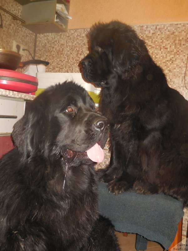 Фотография № 197635