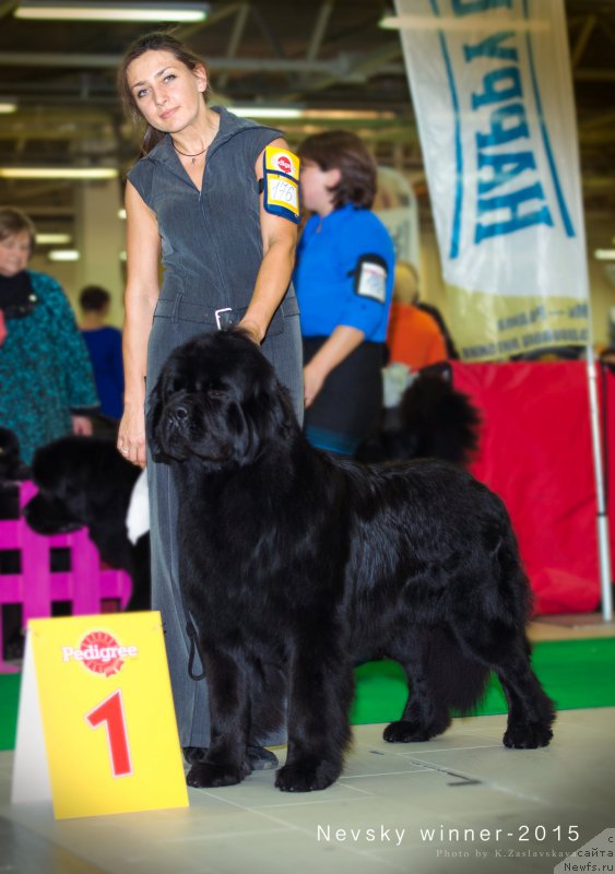 Фотография № 197636