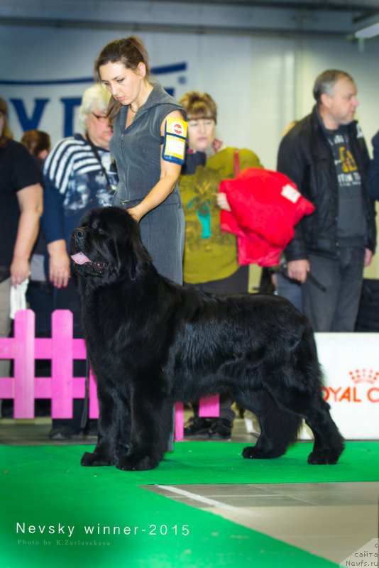 Фотография № 197637