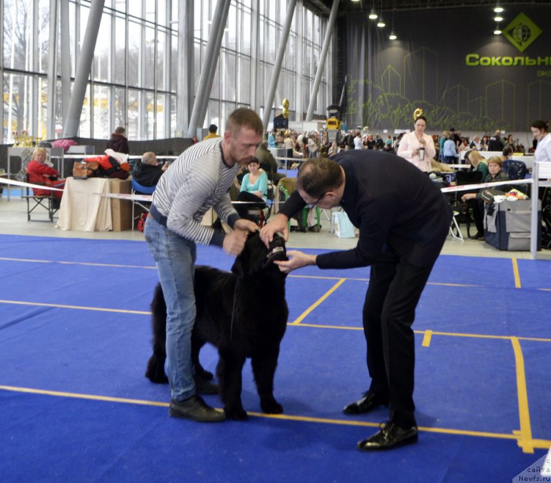 Фотография № 197643