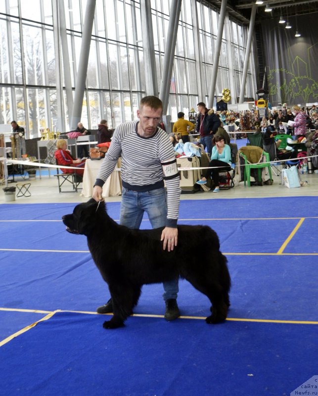 Фотография № 197645