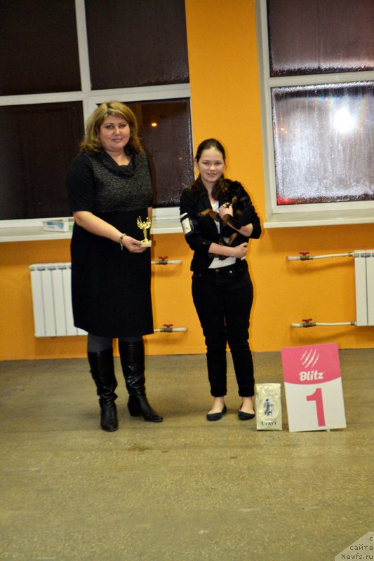 Фотография № 197648