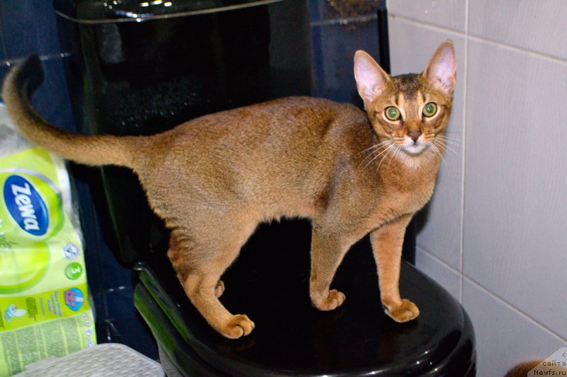 Фотография № 197649