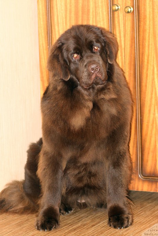 Фотография № 197655