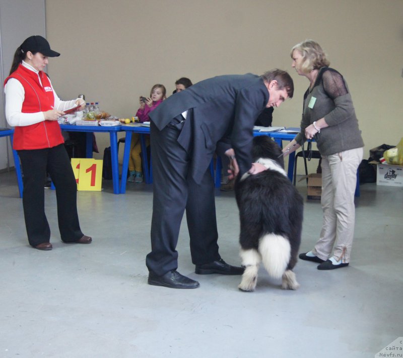 Фотография № 197656