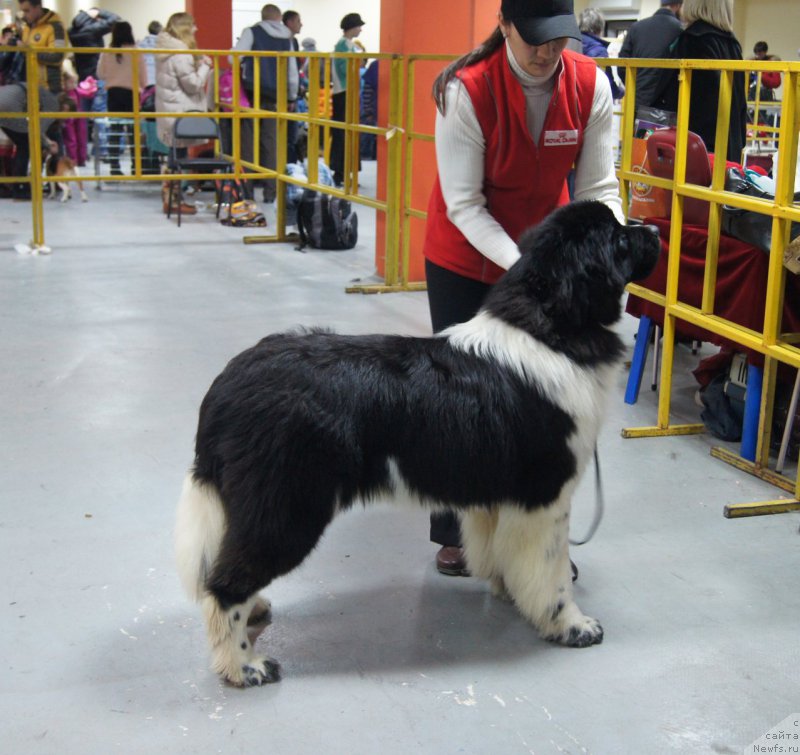 Фотография № 197657