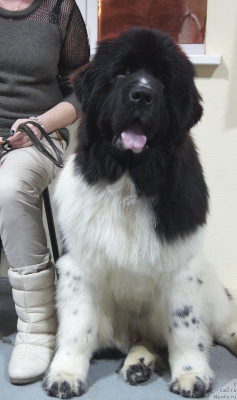 Фотография № 197659