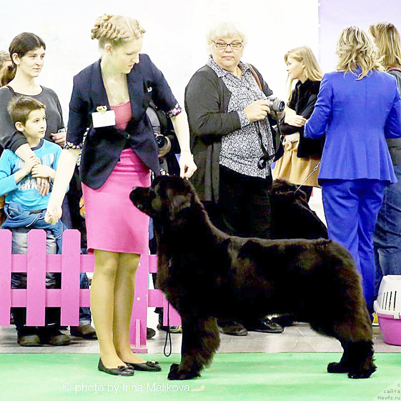 Фотография № 197660