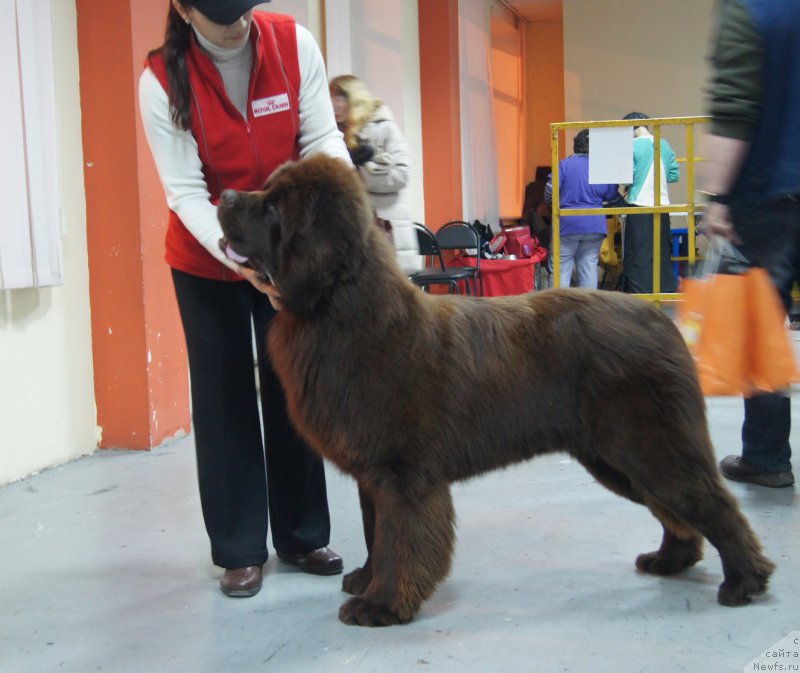 Фотография № 197661