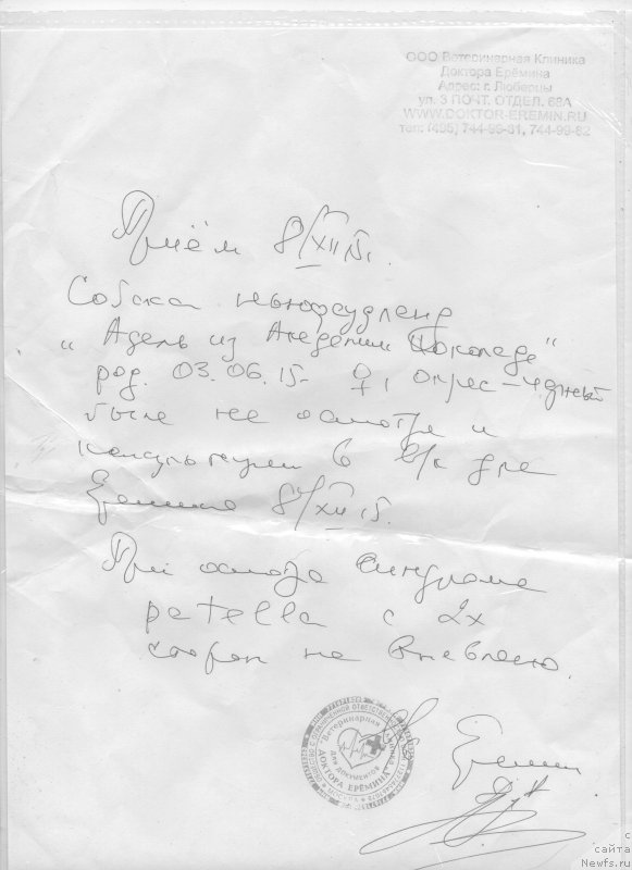 Фотография № 197698