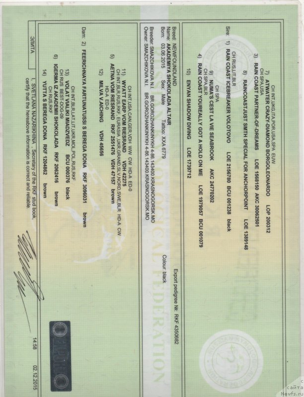 Фотография № 197701