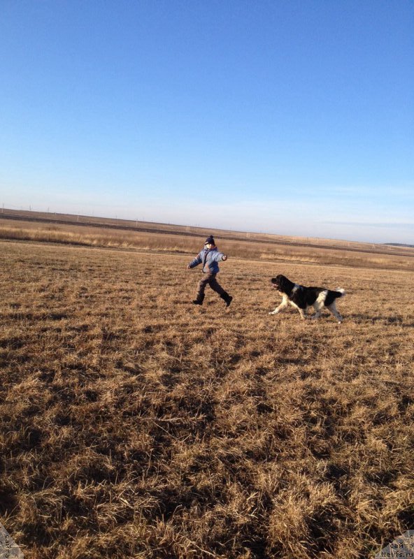 Фотография № 197709