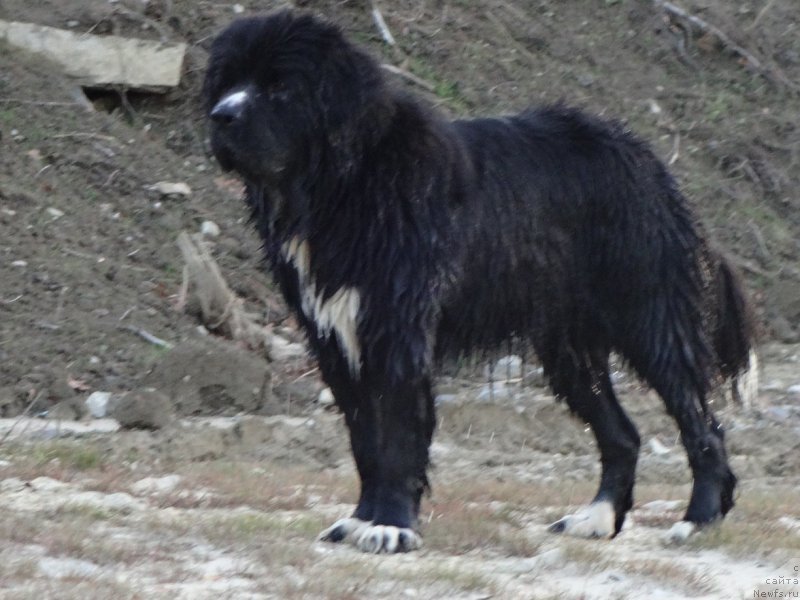 Фотография № 197716