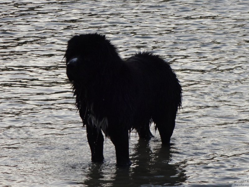 Фотография № 197718