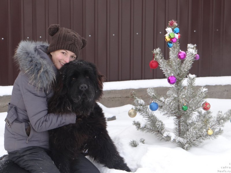 Фотография № 197765