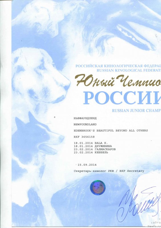 Фотография № 197770