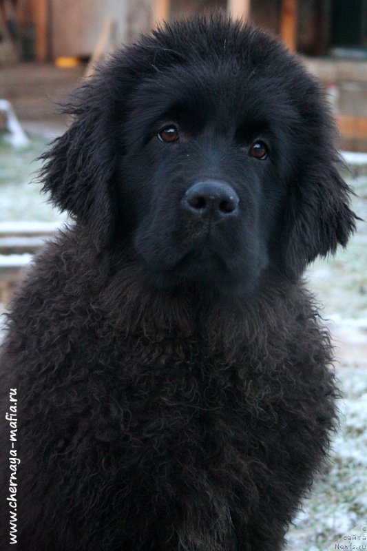 Фотография № 197838