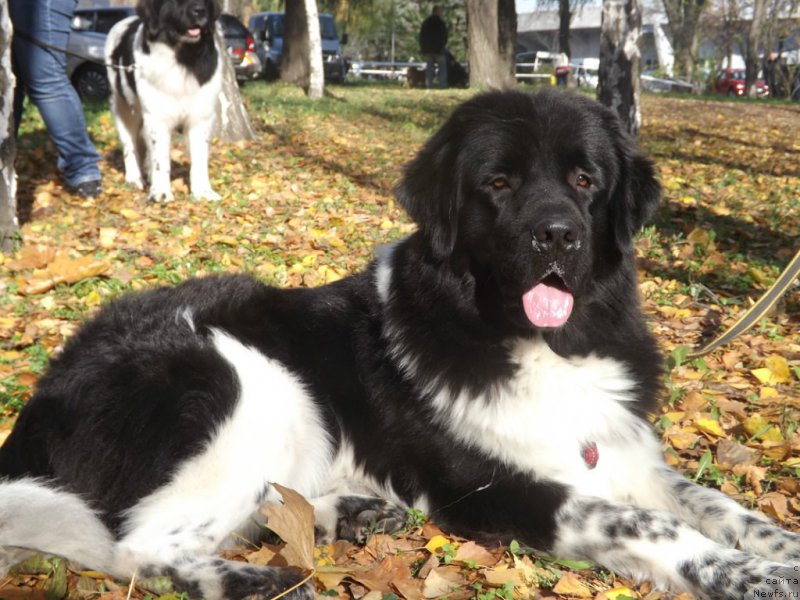 Фото: Анна Бутылкина