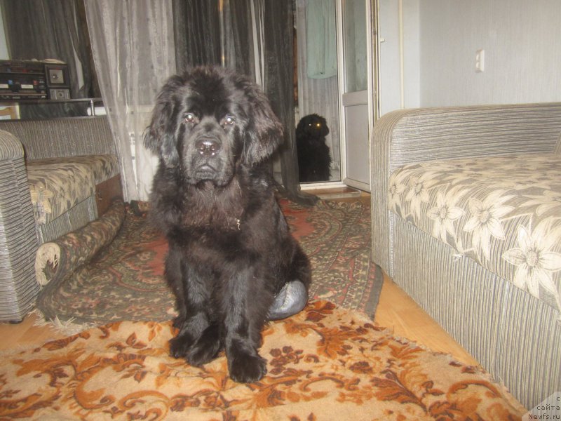 Фотография № 197854