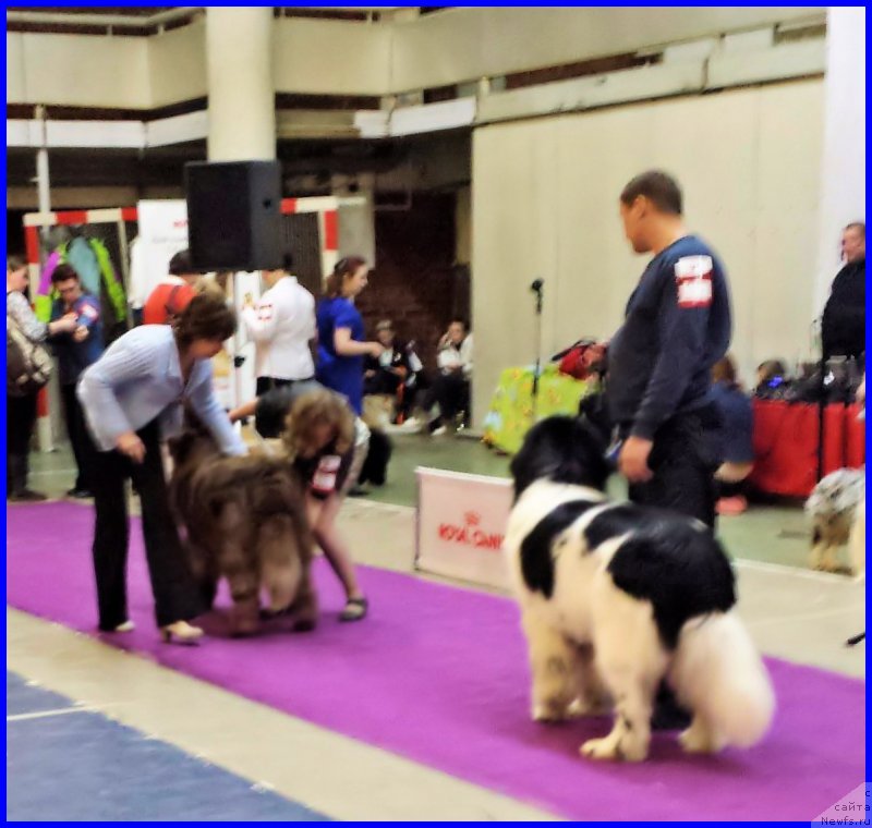 Фотография № 197857