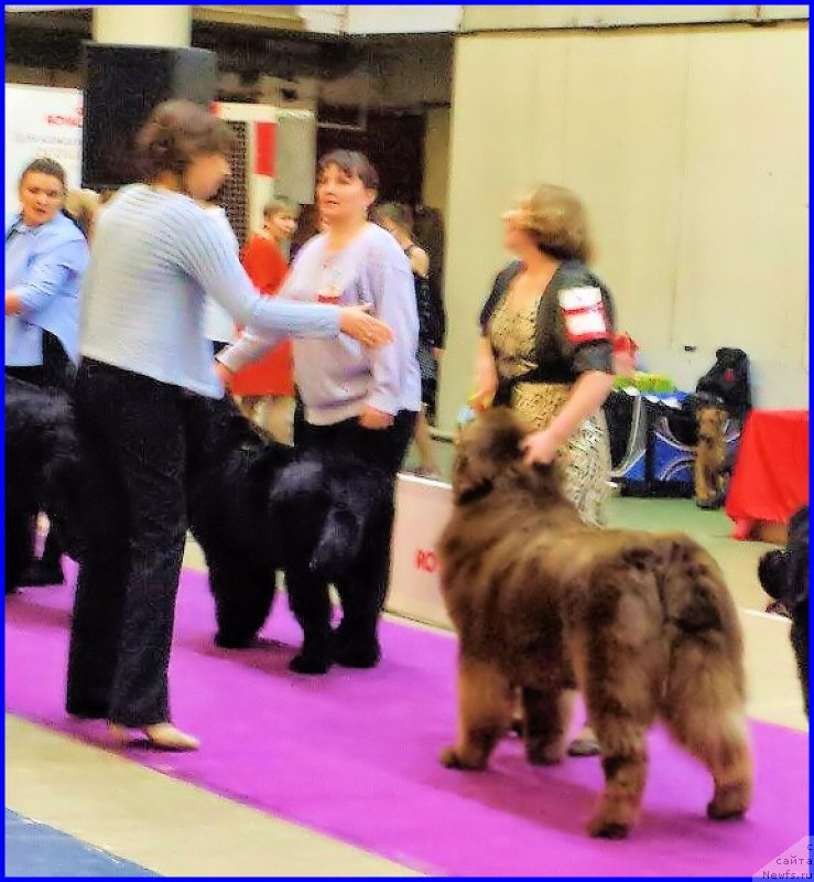 Фотография № 197859