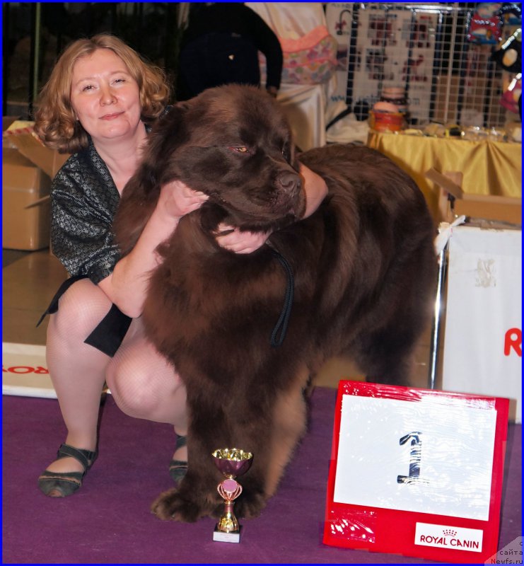 Фотография № 197862